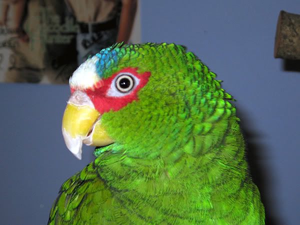 IMG_1574.jpg