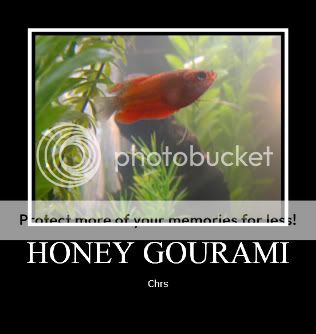 IMG_6276-1-1.jpg