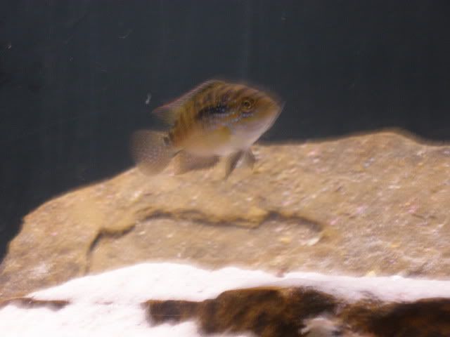 P4120112.jpg