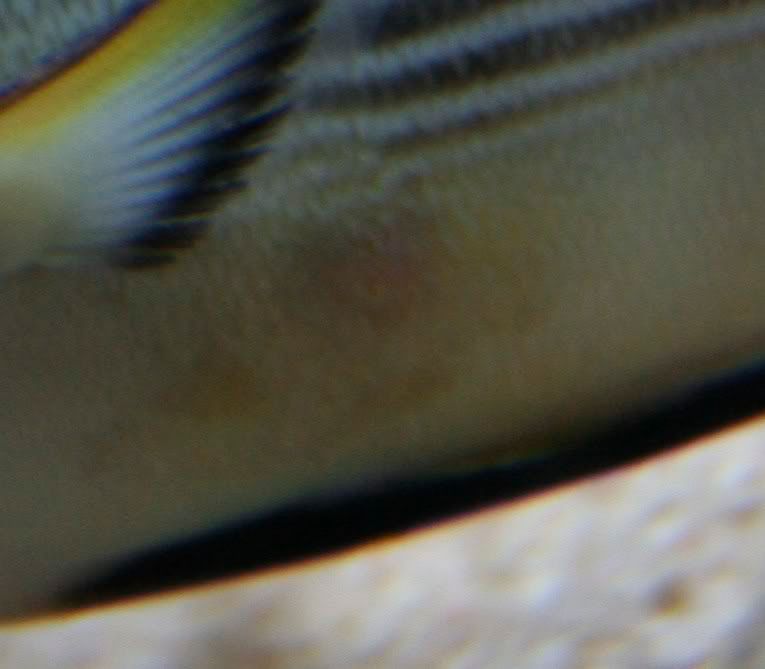 2692.jpg