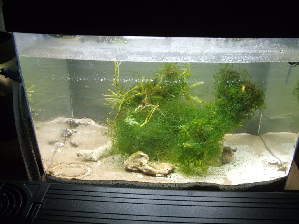 DSCF0373.jpg