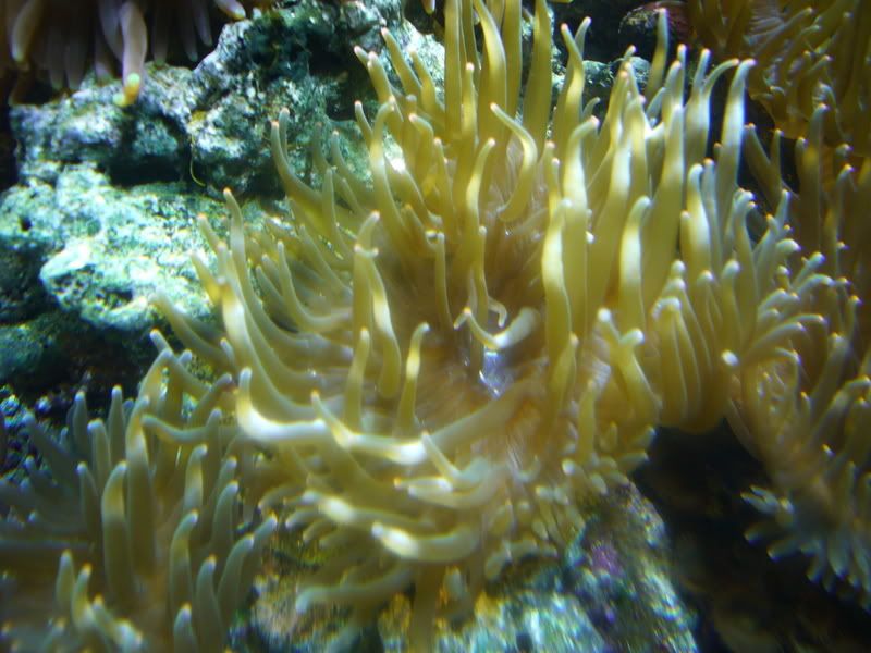 P1010154.jpg