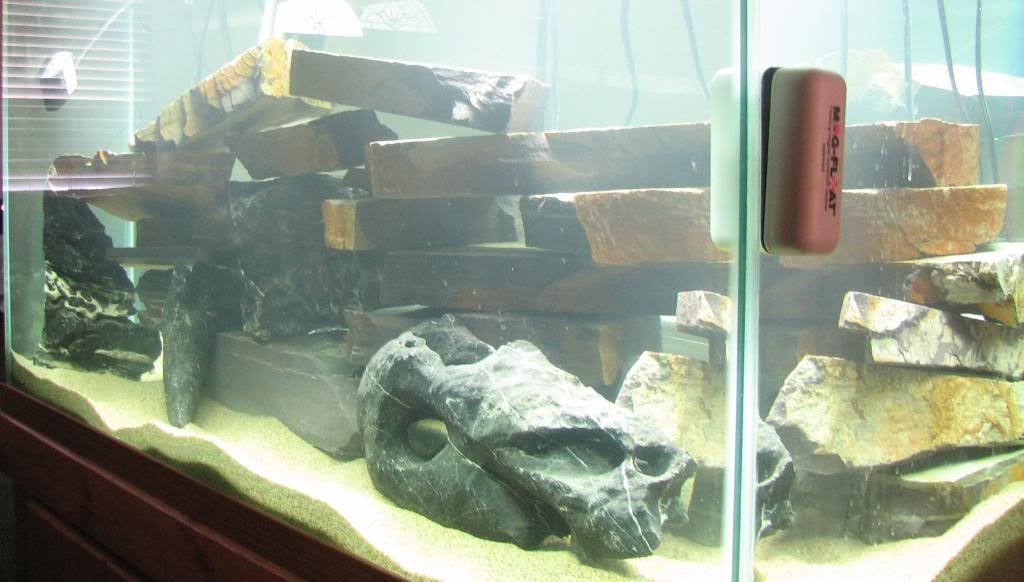 FishTank010.jpg