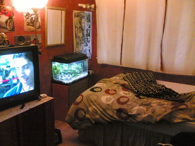Myroom.jpg