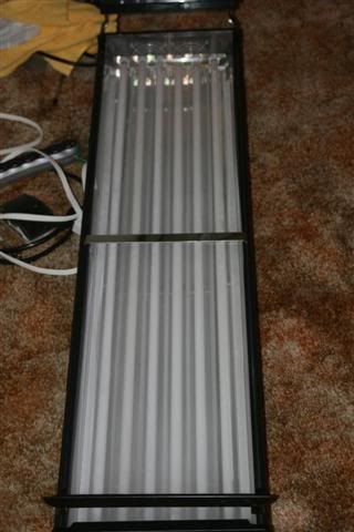 lightpicSmall.jpg