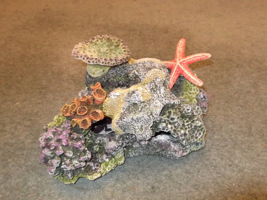 DSCF0370.jpg