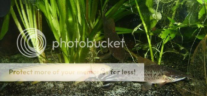 underthesea.jpg