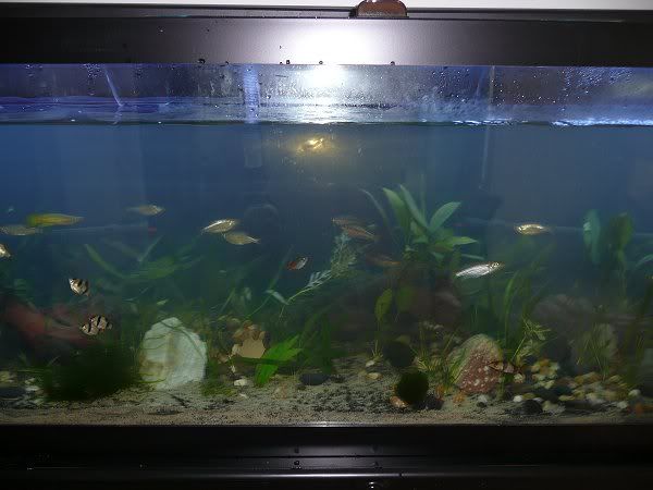 5-27-3.jpg