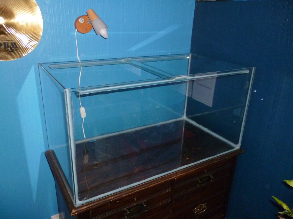 P1000425.jpg