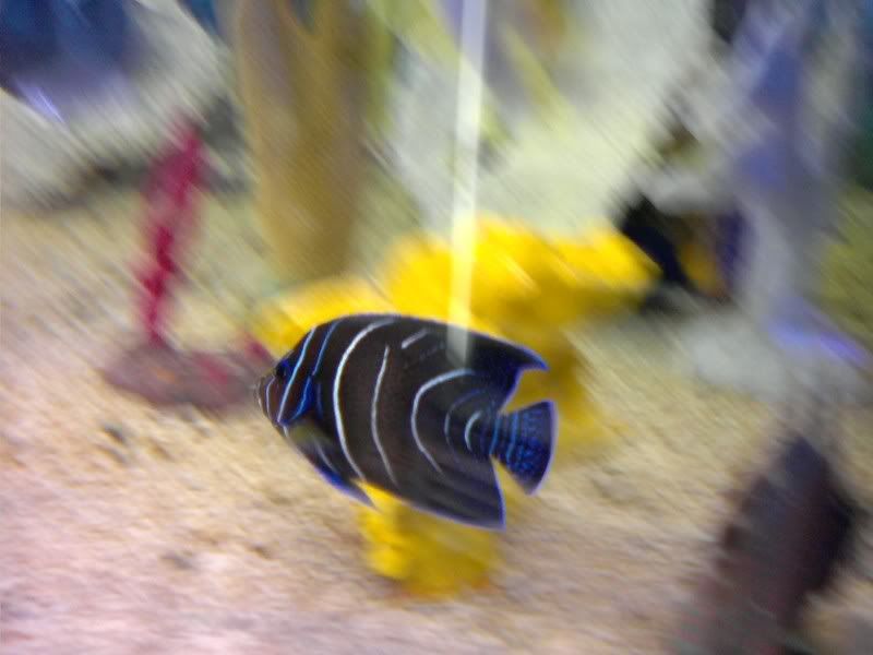 0216081214.jpg