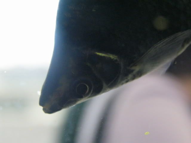 IMG_5214.jpg