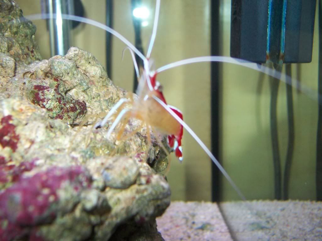 100_0759.jpg