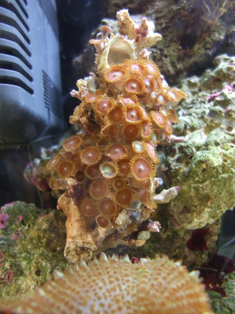 DSCF9080.jpg