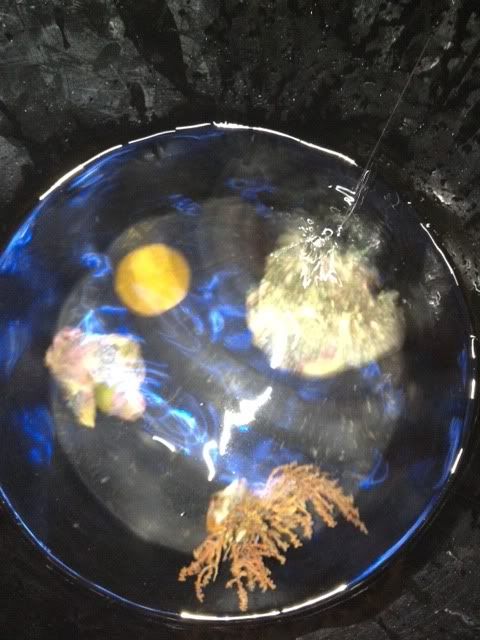 photo2-19.jpg