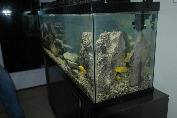 labtank.jpg