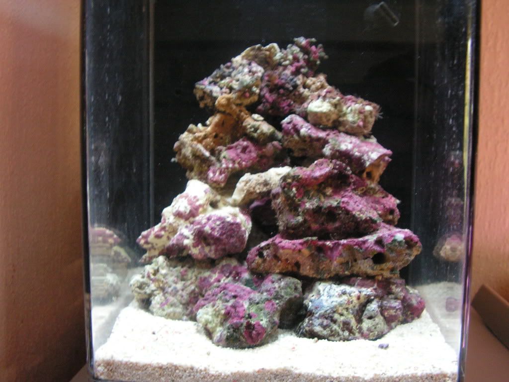 PICT0937.jpg