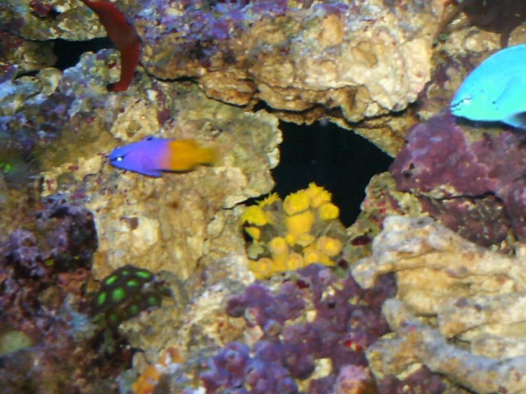 HPIM0463.jpg