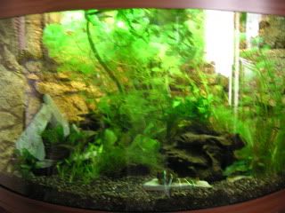 PICT0403.jpg