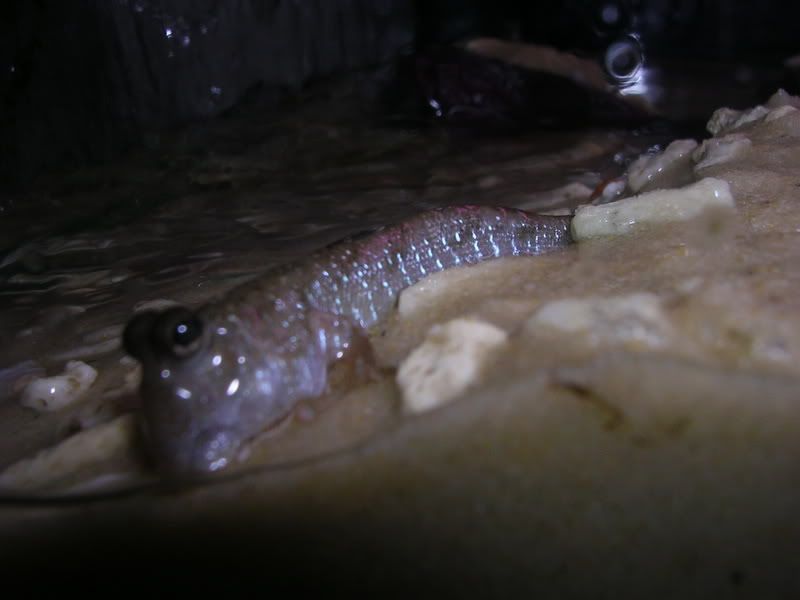 DSCN2995.jpg