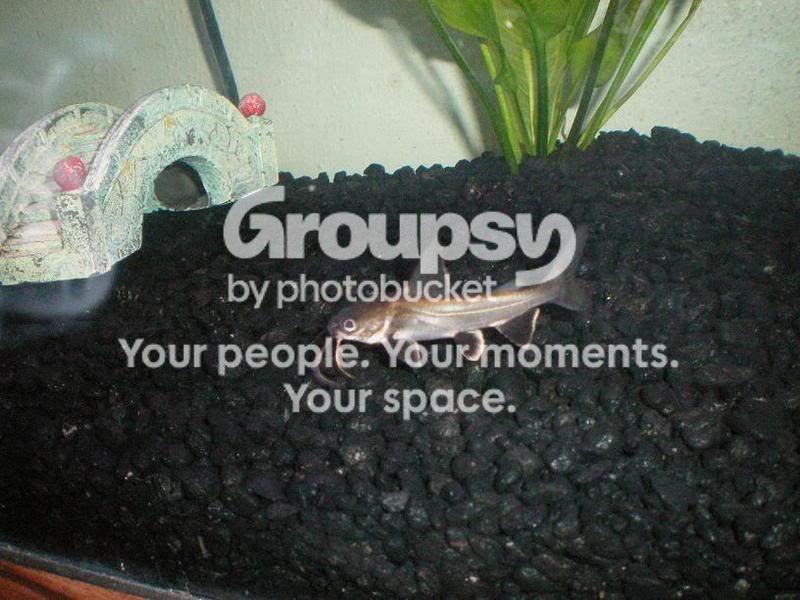 100_0011.jpg