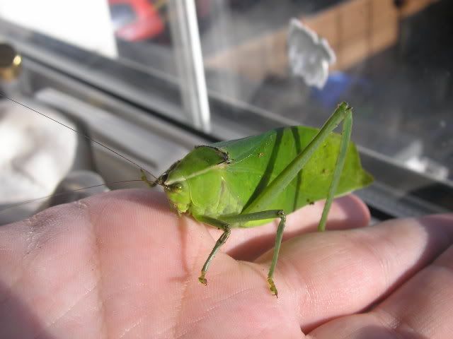 PC290137.jpg