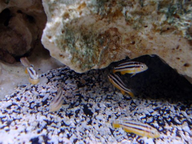 DSC01108.jpg