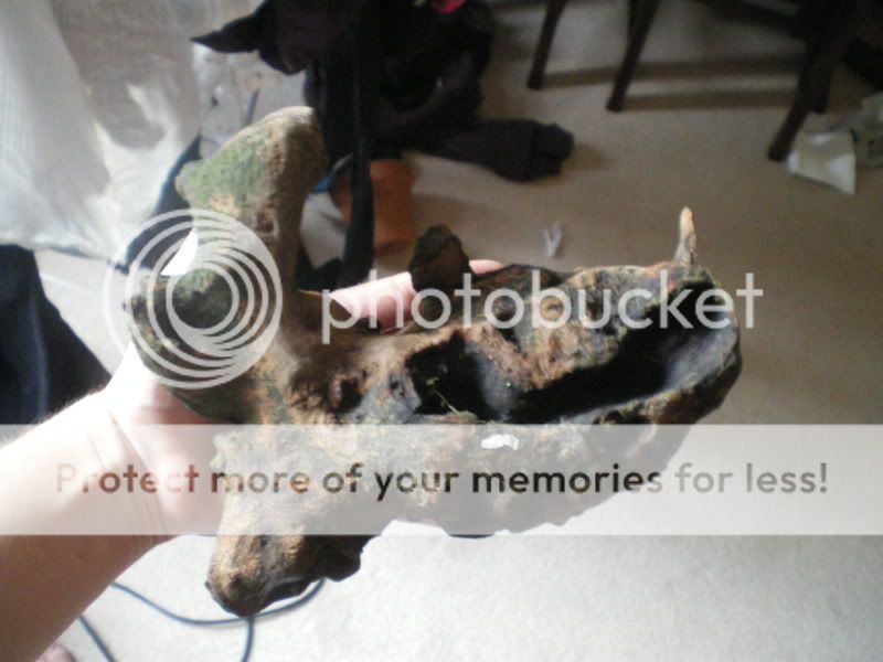 IMGP0136.jpg