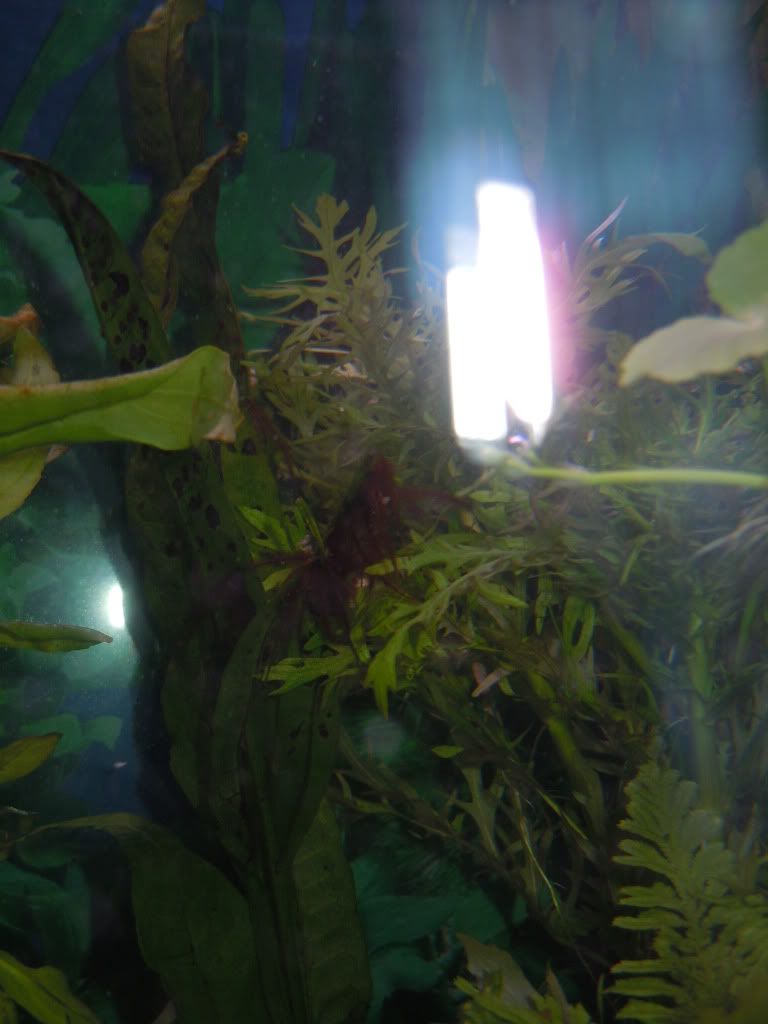 DSCN0675.jpg