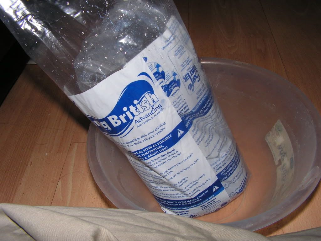 PICT0566.jpg