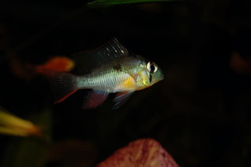 DSC_0041.jpg