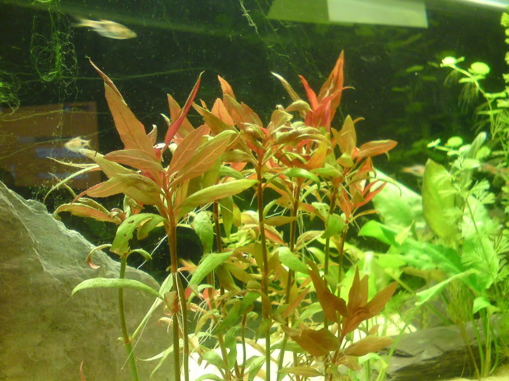 DSC00380.jpg
