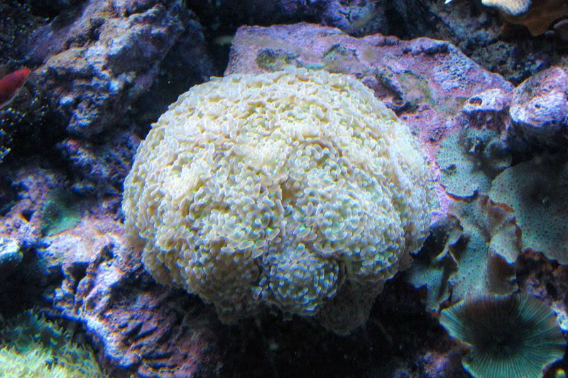 saltwater12.jpg