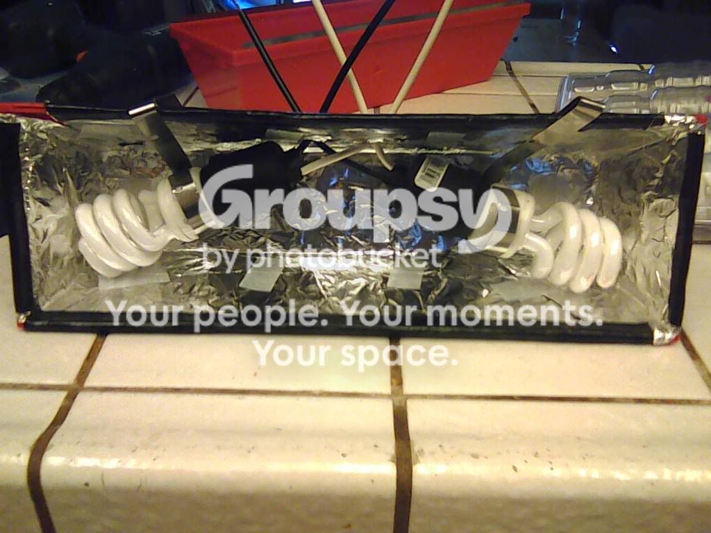 0911081536.jpg