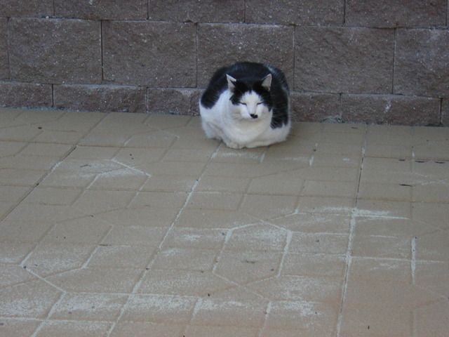 DSCN3046.jpg