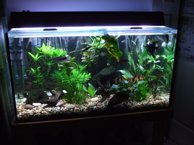 DSCF5634.jpg