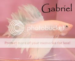 Gabriel2.jpg