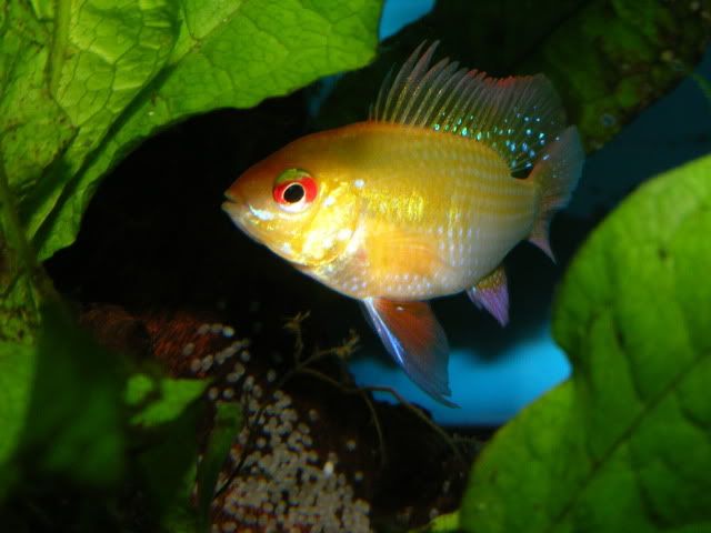DSCF0136.jpg