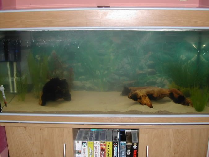 NewTank030.jpg