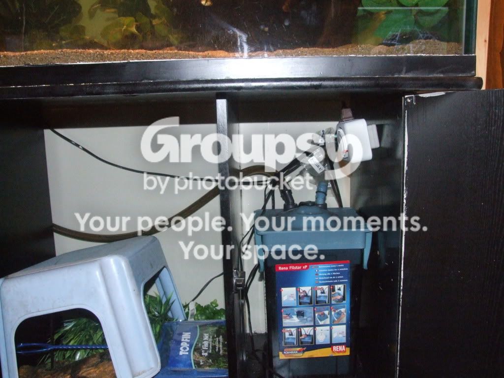 DSCF6193.jpg