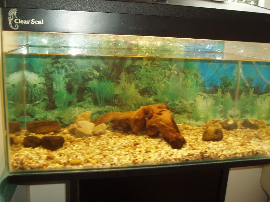 P1010069-2.jpg