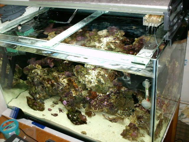 HPIM0220a.jpg