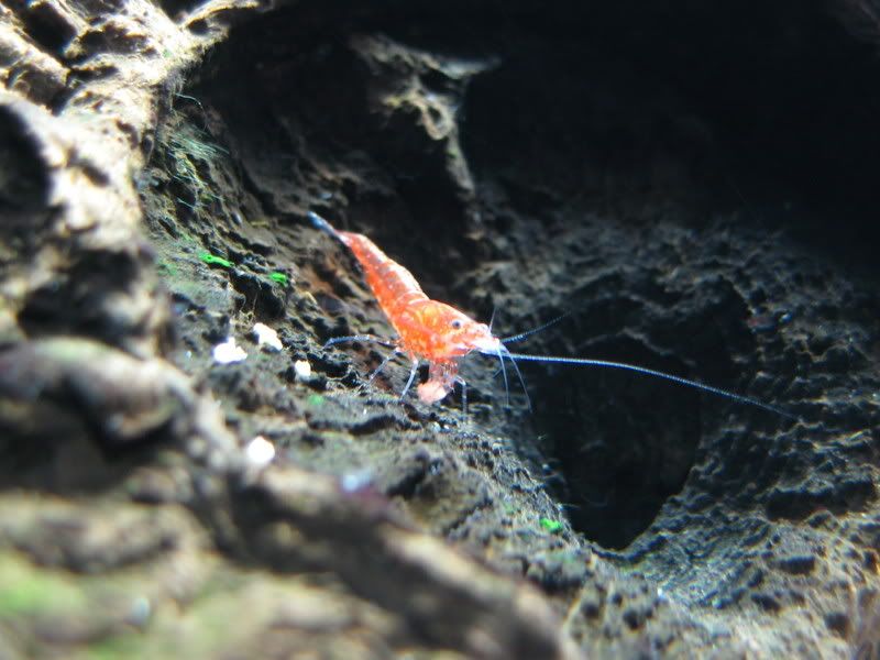 IMG_1949.jpg