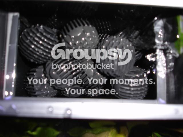 DSC04239.jpg