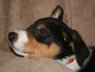 IMG_0040.jpg