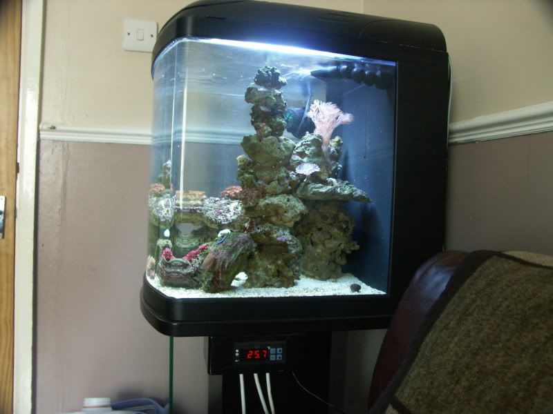 PICT0034.jpg