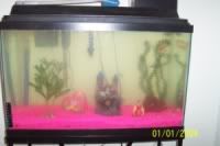 Fishtank2.jpg