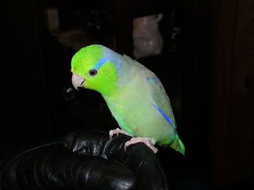 DSCN1819.jpg
