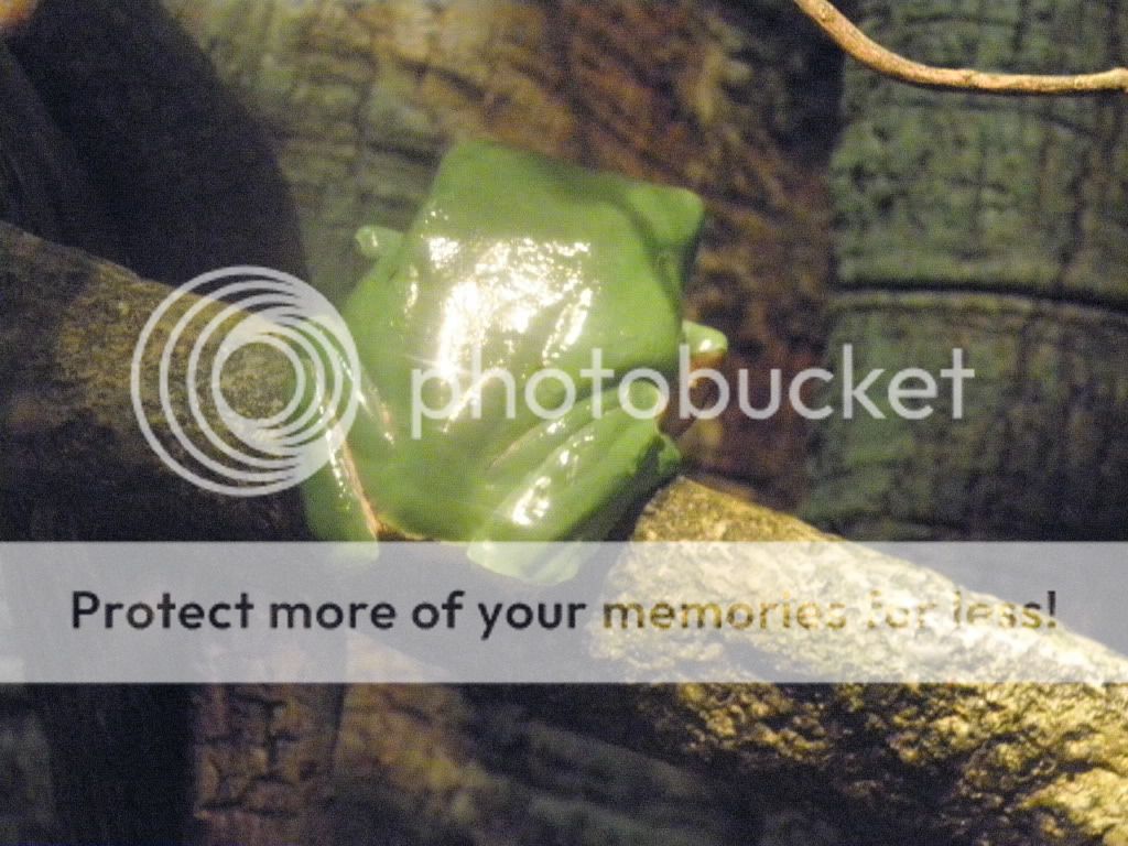 Aquarium43.jpg