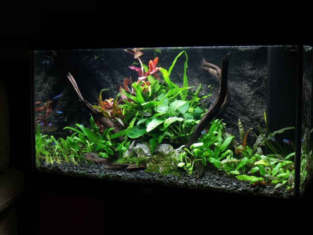 DSCF1582.jpg