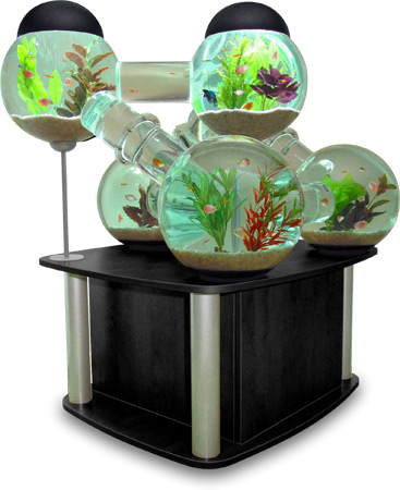 fish-tank-bubbles.jpg